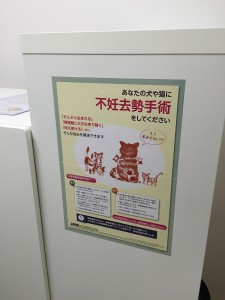 保護猫カフェ湘にゃ庵（神奈川県藤沢市）