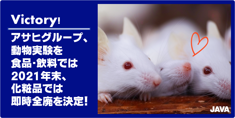 Victory アサヒグループ 動物実験を食品 飲料では21年末 化粧品では即時全廃を決定 動物実験の廃止を求める会 Java