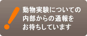 動物実験についての内部告発をお待ちしています