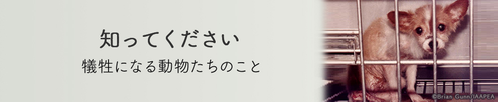 知ってください