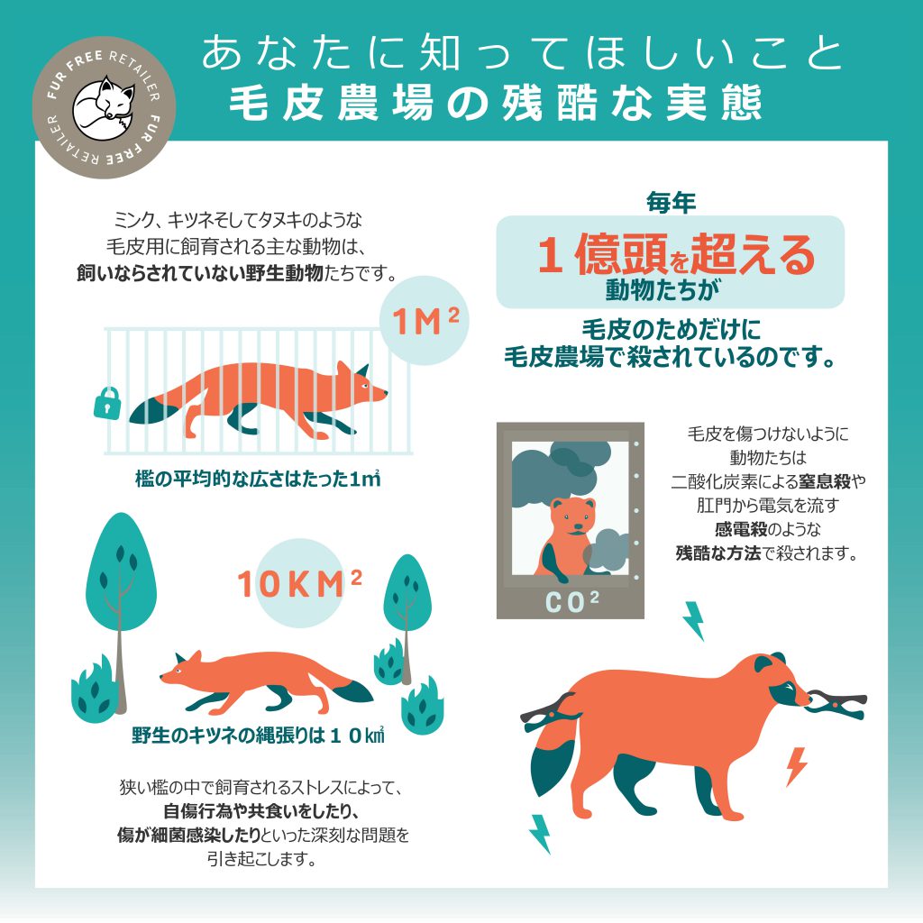 イラストでわかる毛皮の実態 動物実験の廃止を求める会 Java