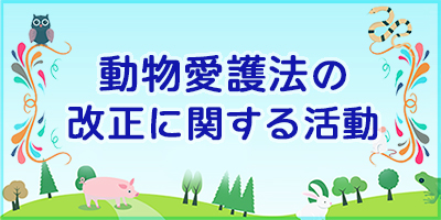 改正動物愛護法施行